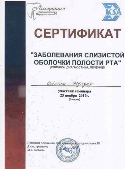 КЕРАМИЧЕСКИЕ РЕСТАВРАЦИИ в Казахстане, фото 136